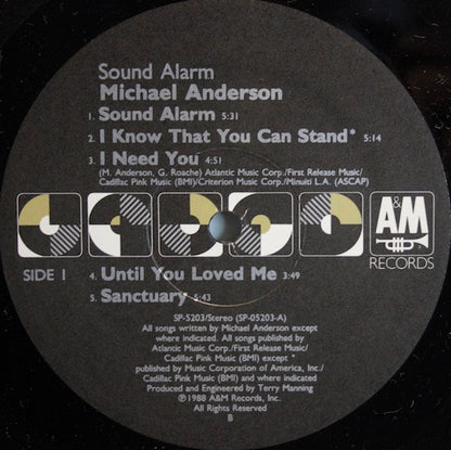 Michael Anderson - Sound Alarm