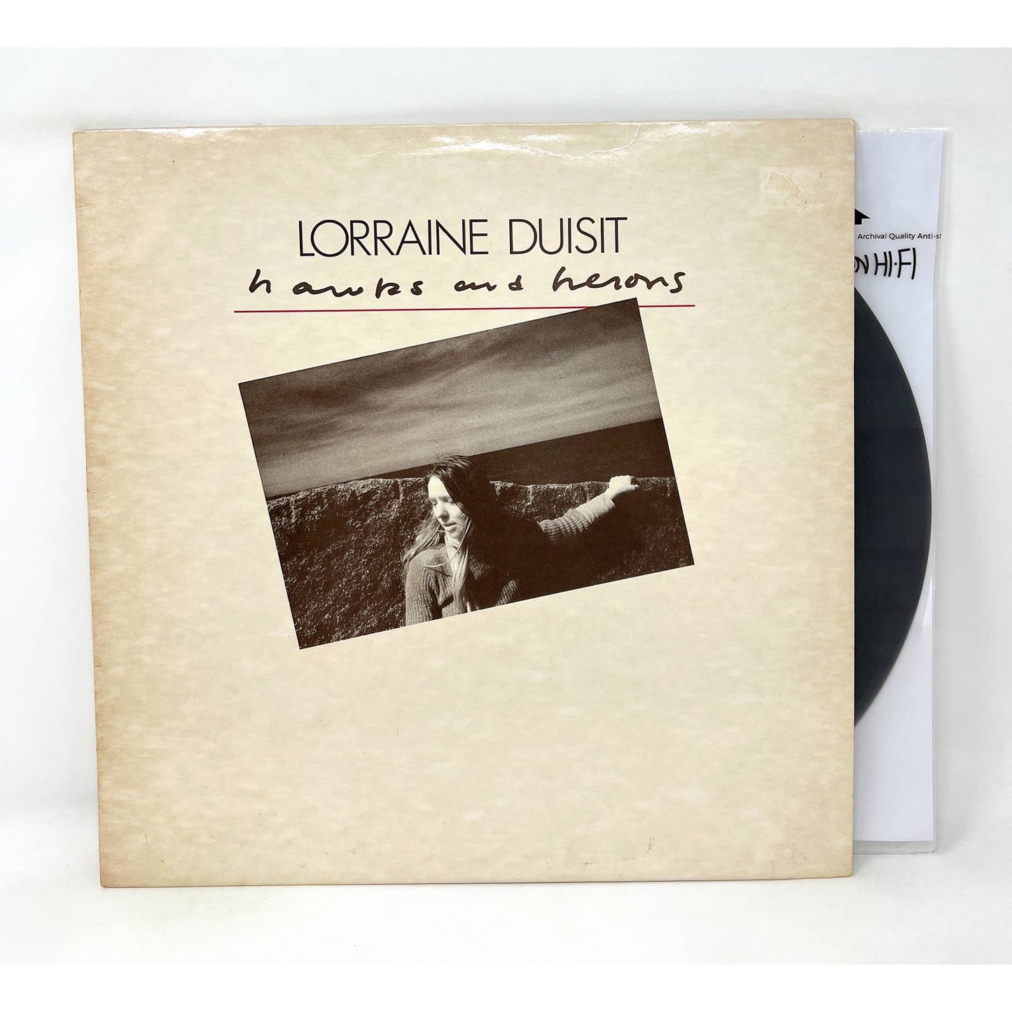 Lorraine Duisit - Hawks And Herons